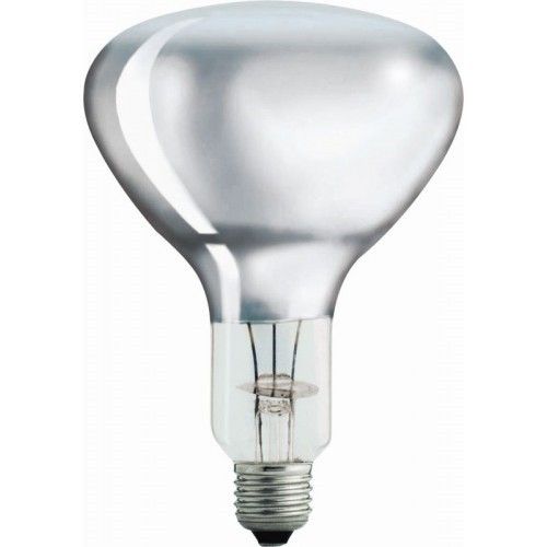 Warmtelamp / infrarood lamp wit Philips 250Watt 10 stuks