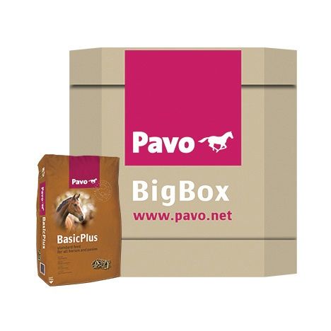 Pavo BasicPlus Big Box 725kg