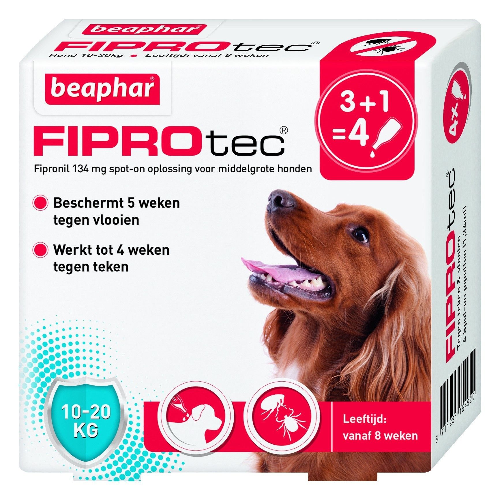 Beaphar Fiprotec hond vlooien/teken 10-20kg 4 pipet