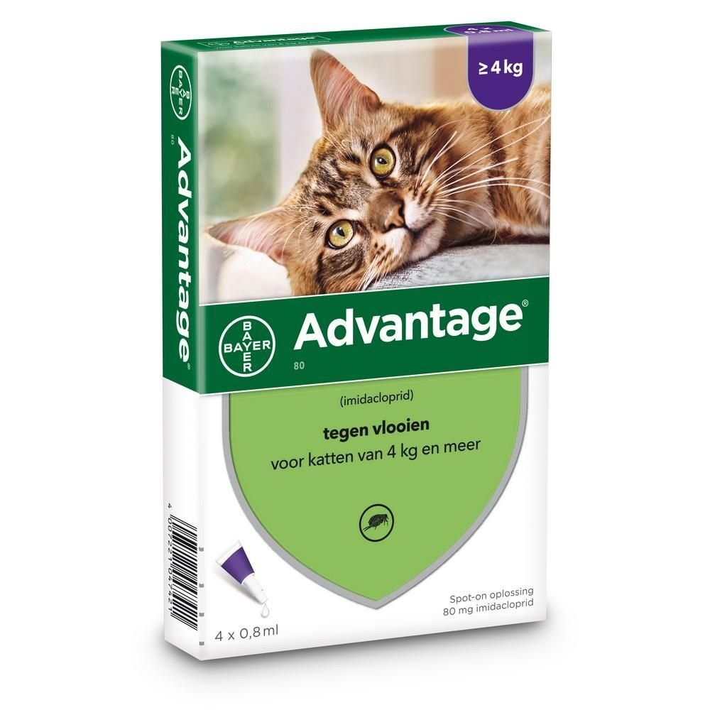 Bayer Advantage 80 voor katten vanaf 4kg