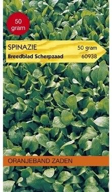 Spinazie Zomer Scherpzaad 250 gram Oranjeband