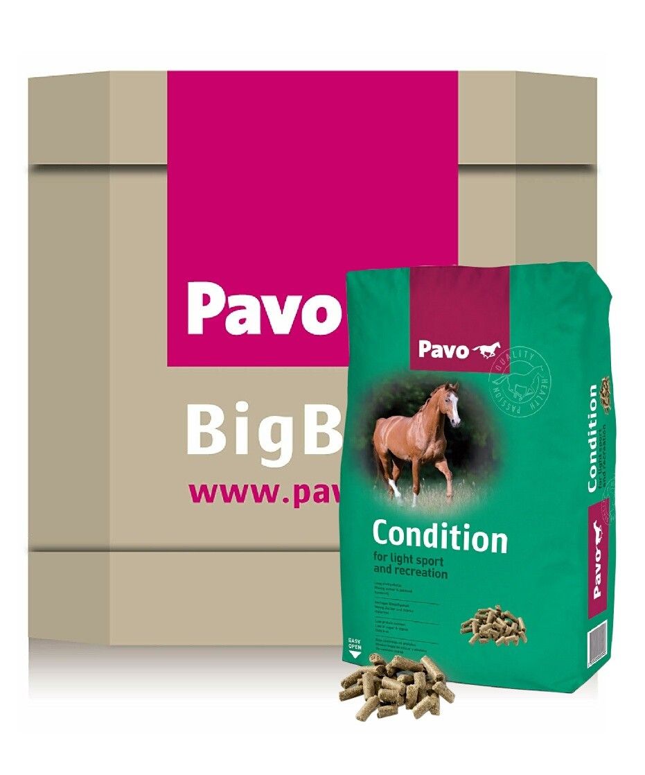 Pavo Condition Big Box 725kg