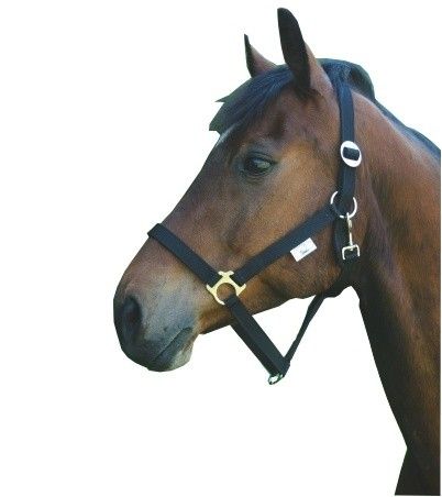 Paarden / pony halster nylon Classic zwart
