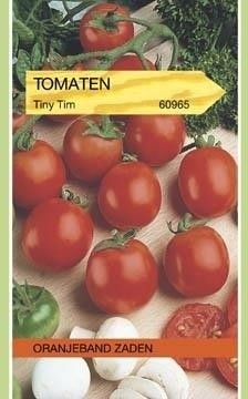Tomaten Tiny Tim Oranjeband
