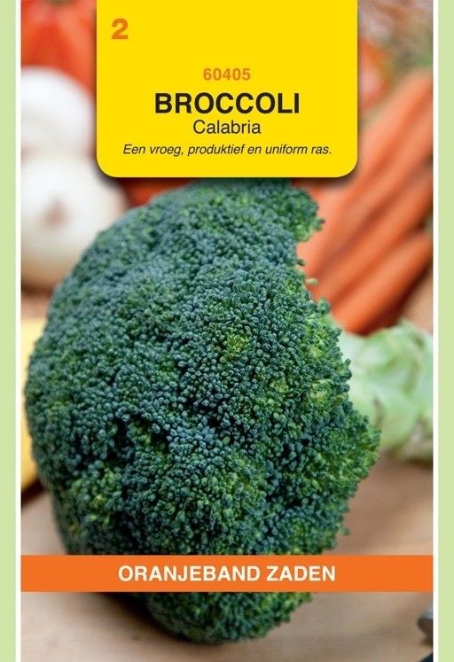 Broccoli Calabria. Oranjeband