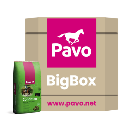 Pavo Condition Big Box 725kg