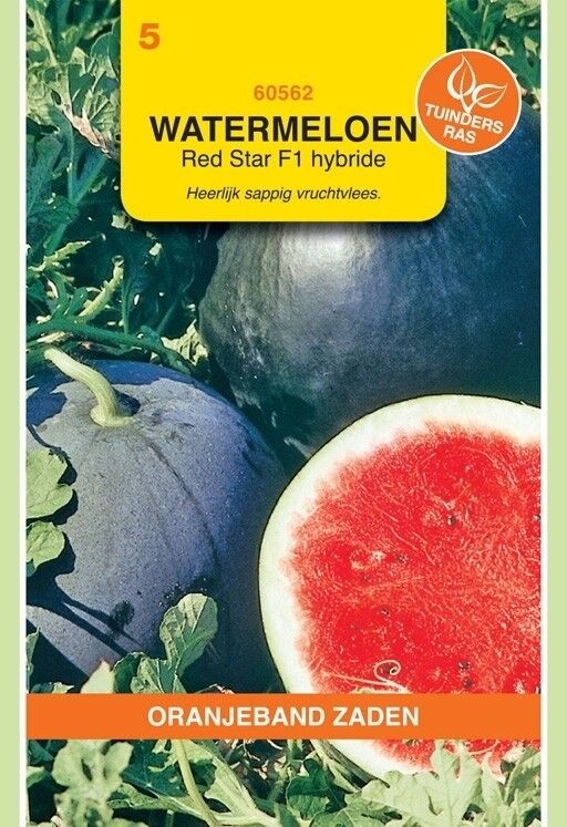 Watermeloen Red Moon/Red Star F1 Hybride Oranjeband