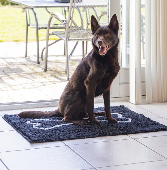 Dirty Dog droogloopmat hond zwart 90 x 66 cm