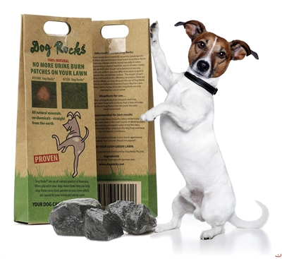 Dog Rocks 200gr. Tegen urine brandplekken op gazons.