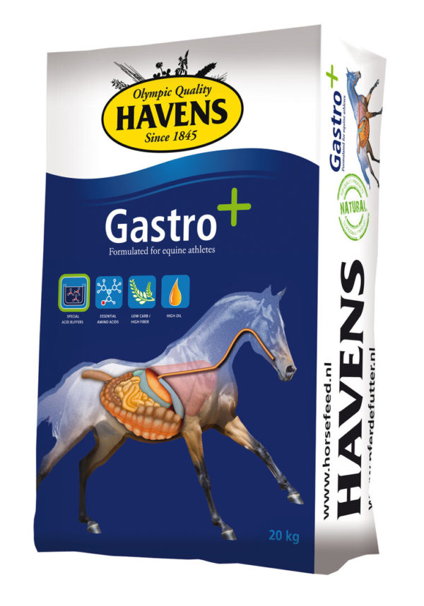 Havens Gastro+20kg