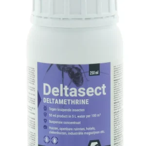 Deltasect spuitmiddel tegen vliegen en kruipend ongedierte 250ml