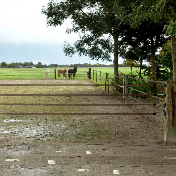 Gallagher doorgangset 6mtr met 4 linten - Afbeelding 3