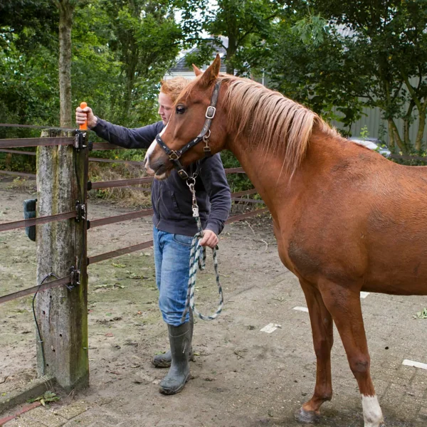 Gallagher doorgangset 6mtr met 4 linten - Afbeelding 2