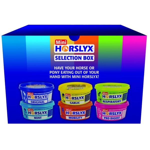 Horslyx mini liksteen paard 6 stuks selectie box