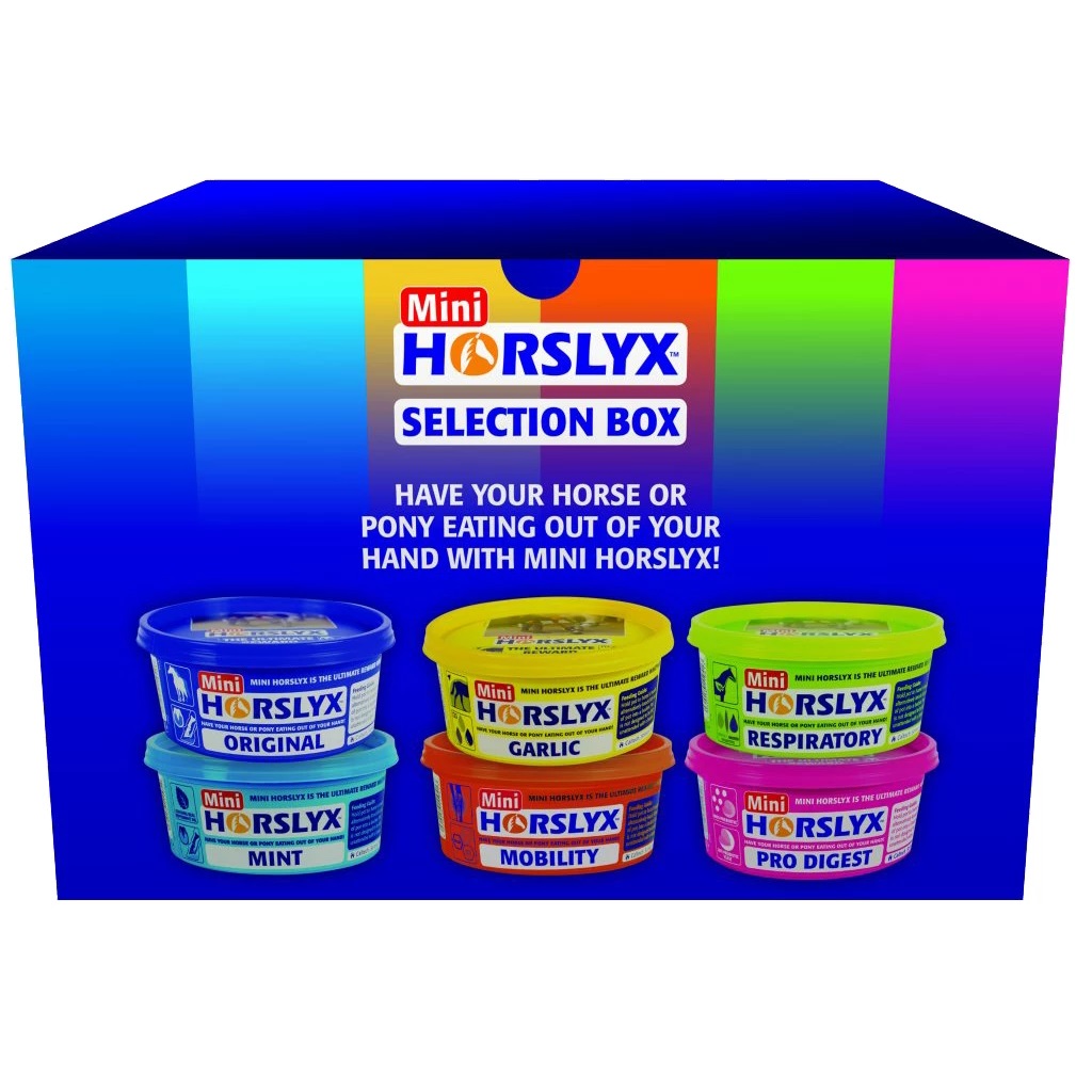 Horslyx mini liksteen paard 6 stuks selectie box