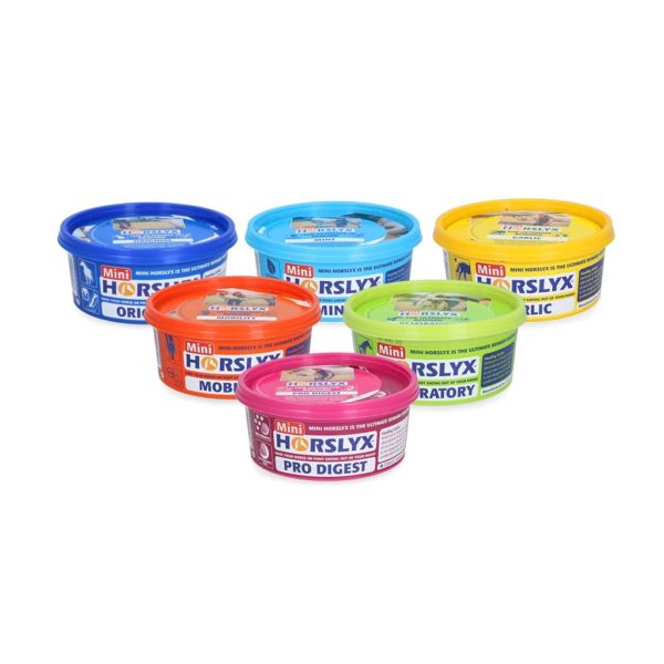 Horslyx mini liksteen paard 6 stuks selectie box - Afbeelding 2