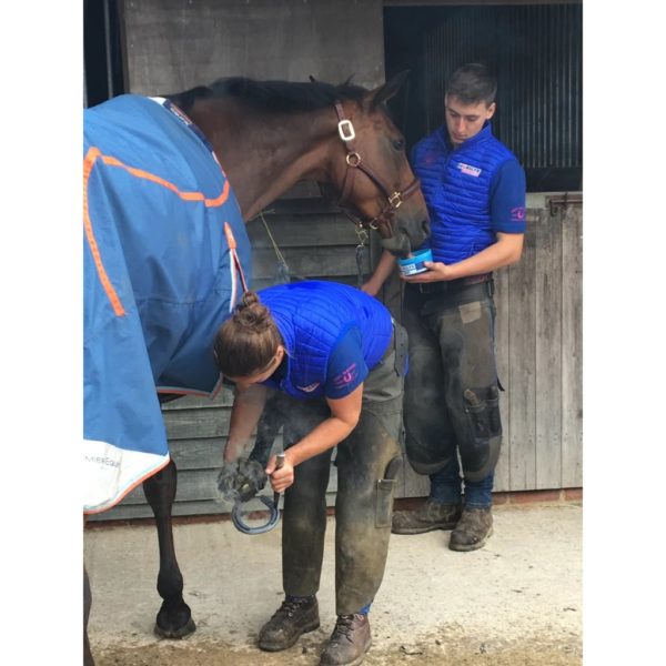 Horslyx mini liksteen paard Original - Afbeelding 4