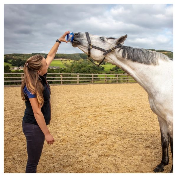 Horslyx mini liksteen paard Original - Afbeelding 3