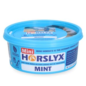 Horslyx mini liksteen paard Mint