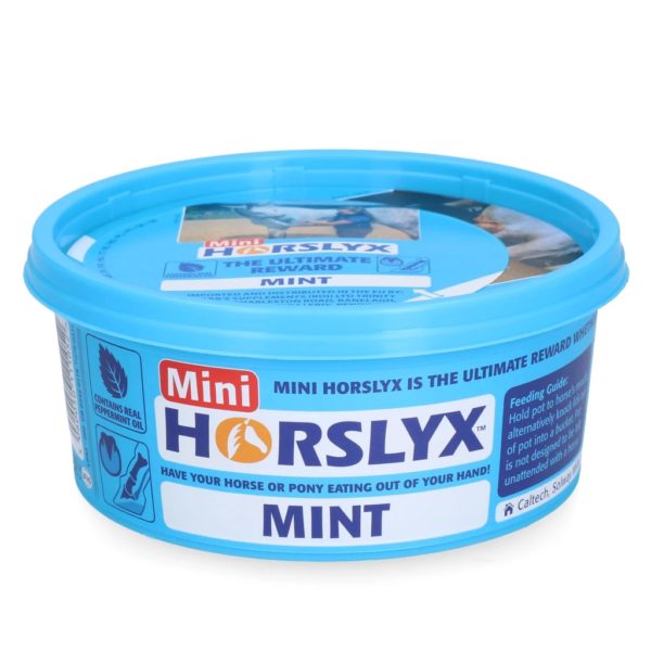Horslyx mini liksteen paard Mint
