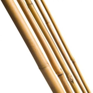 Bamboe (Tonkin) stokken