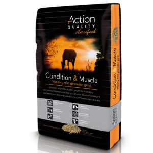 Action Quality Condition & Muscle